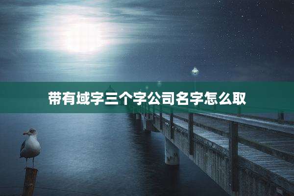 带有域字三个字公司名字怎么取