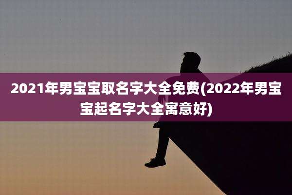 2021年男宝宝取名字大全免费(2022年男宝宝起名字大全寓意好)
