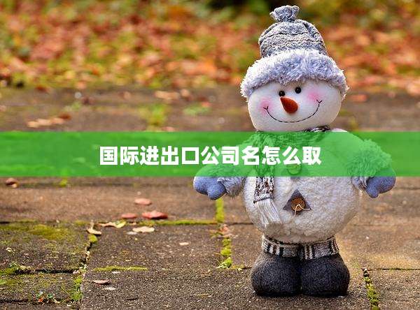 国际进出口公司名怎么取