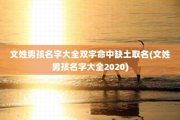 文姓男孩名字大全双字命中缺土取名(文姓男孩名字大全2020)