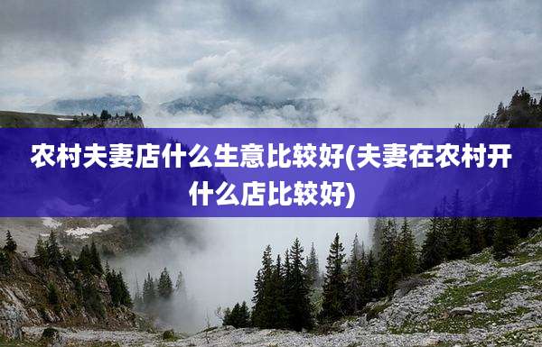 农村夫妻店什么生意比较好(夫妻在农村开什么店比较好)