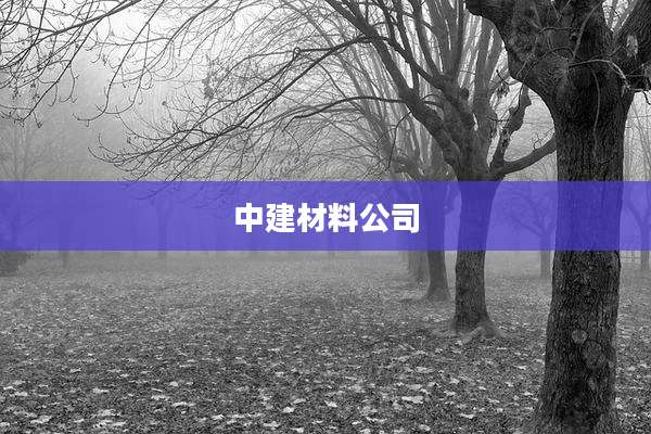 中建材料公司