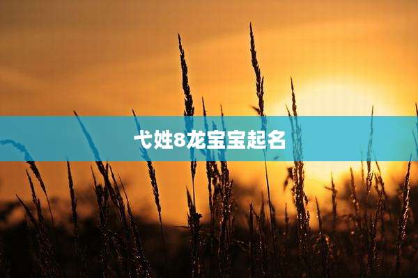 弋姓8龙宝宝起名