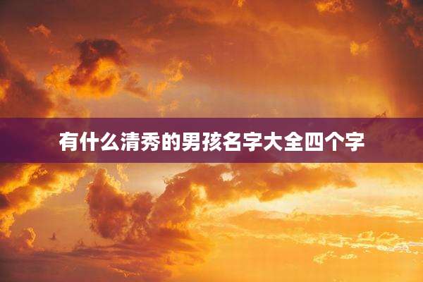 有什么清秀的男孩名字大全四个字