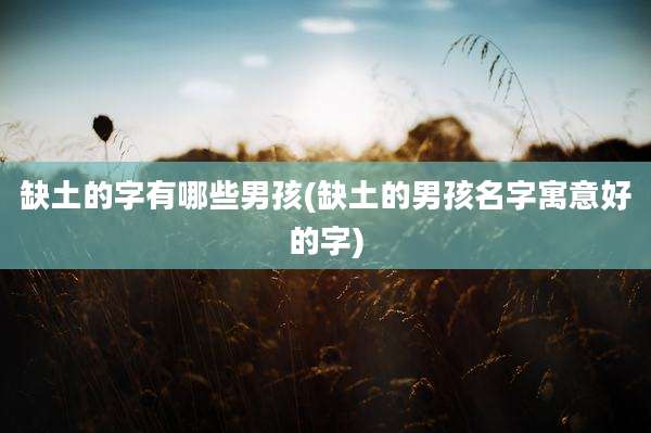 缺土的字有哪些男孩(缺土的男孩名字寓意好的字)