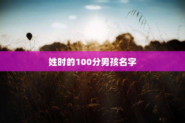 姓时的100分男孩名字
