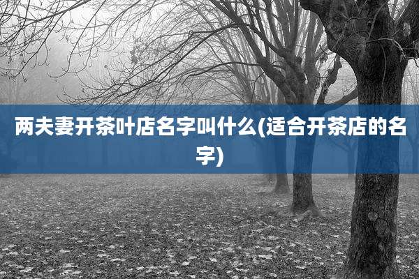 两夫妻开茶叶店名字叫什么(适合开茶店的名字)