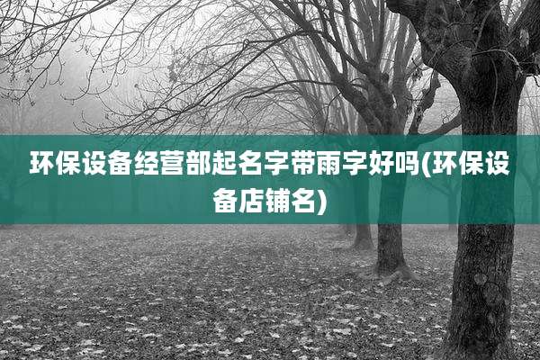 环保设备经营部起名字带雨字好吗(环保设备店铺名)