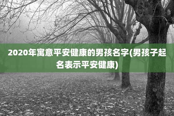 2020年寓意平安健康的男孩名字(男孩子起名表示平安健康)