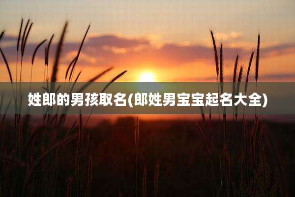 姓郎的男孩取名(郎姓男宝宝起名大全)