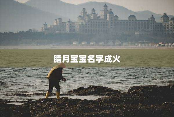 腊月宝宝名字成火