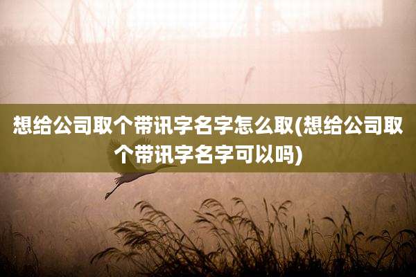 想给公司取个带讯字名字怎么取(想给公司取个带讯字名字可以吗)