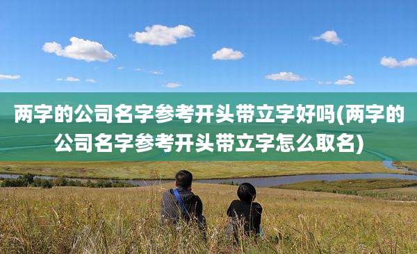 两字的公司名字参考开头带立字好吗(两字的公司名字参考开头带立字怎么取名)