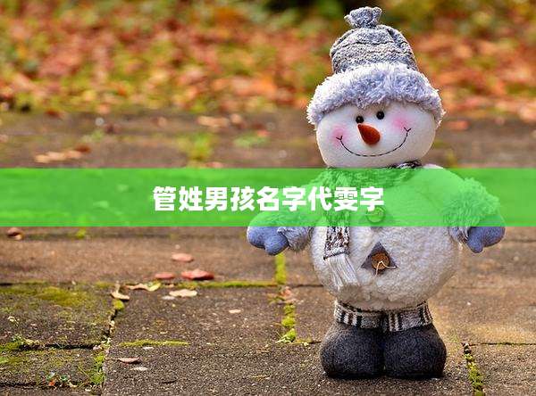 管姓男孩名字代雯字