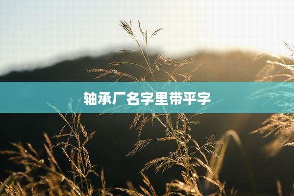 轴承厂名字里带平字