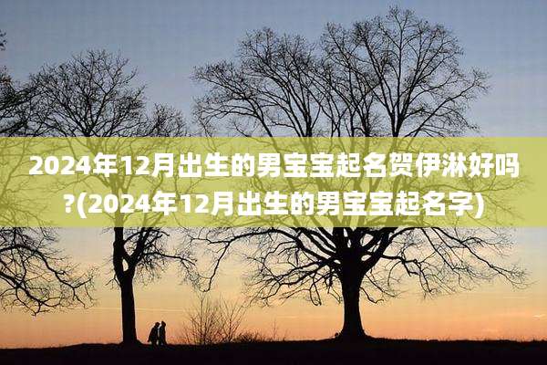 2024年12月出生的男宝宝起名贺伊淋好吗?(2024年12月出生的男宝宝起名字)
