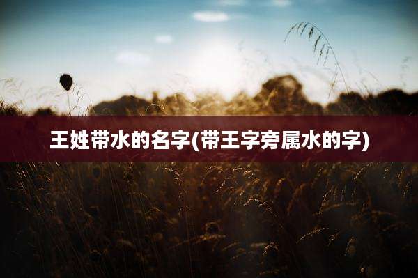 王姓带水的名字(带王字旁属水的字)