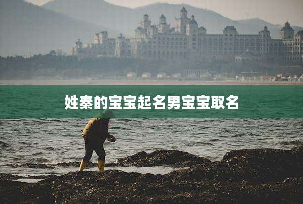 姓秦的宝宝起名男宝宝取名