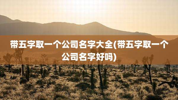 带五字取一个公司名字大全(带五字取一个公司名字好吗)