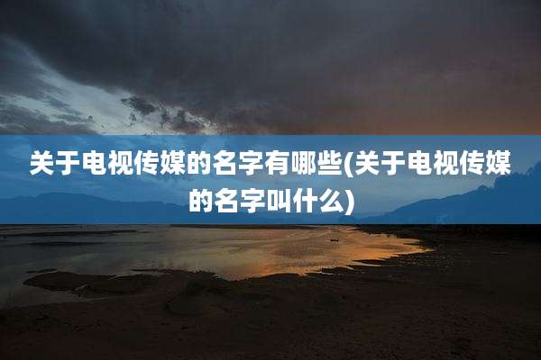 关于电视传媒的名字有哪些(关于电视传媒的名字叫什么)