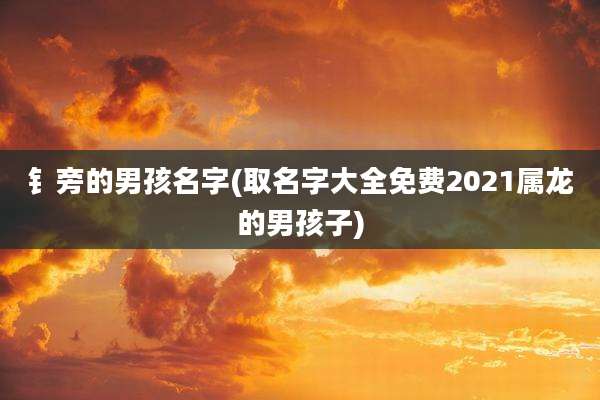钅旁的男孩名字(取名字大全免费2021属龙的男孩子)