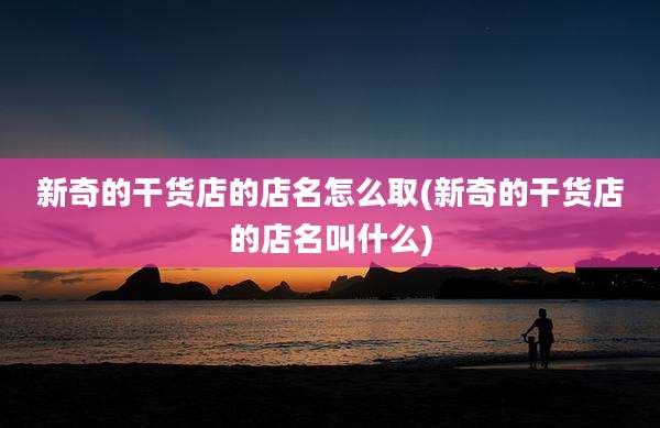 新奇的干货店的店名怎么取(新奇的干货店的店名叫什么)