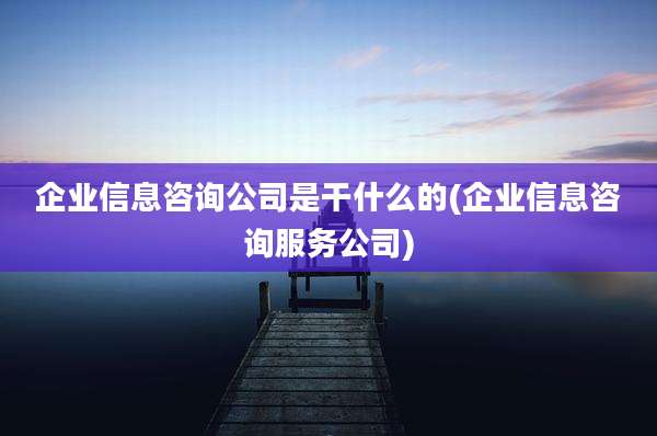 企业信息咨询公司是干什么的(企业信息咨询服务公司)