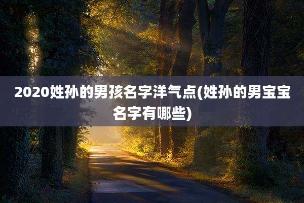 2020姓孙的男孩名字洋气点(姓孙的男宝宝名字有哪些)