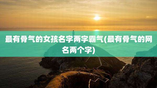 最有骨气的女孩名字两字霸气(最有骨气的网名两个字)