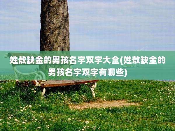 姓敖缺金的男孩名字双字大全(姓敖缺金的男孩名字双字有哪些)