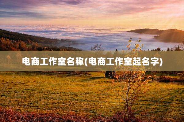 电商工作室名称(电商工作室起名字)