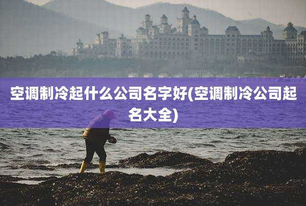 空调制冷起什么公司名字好(空调制冷公司起名大全)