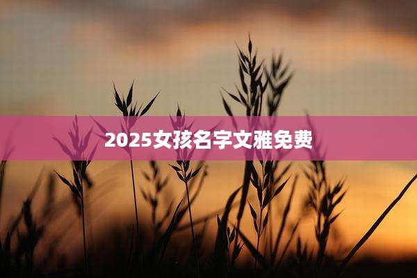 2025女孩名字文雅免费