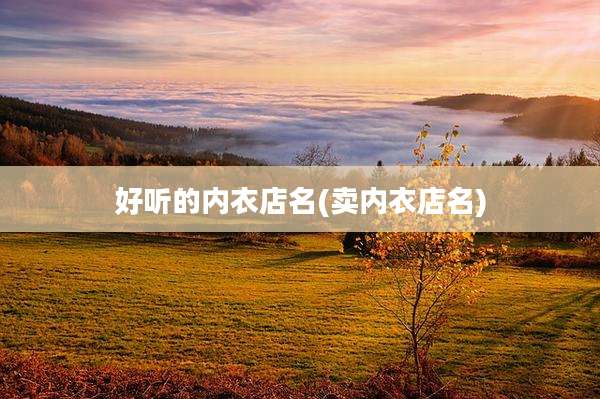 好听的内衣店名(卖内衣店名)