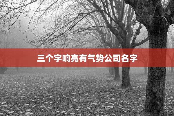 三个字响亮有气势公司名字