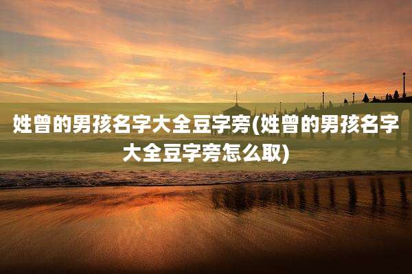 姓曾的男孩名字大全豆字旁(姓曾的男孩名字大全豆字旁怎么取)