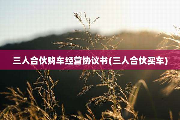 三人合伙购车经营协议书(三人合伙买车)