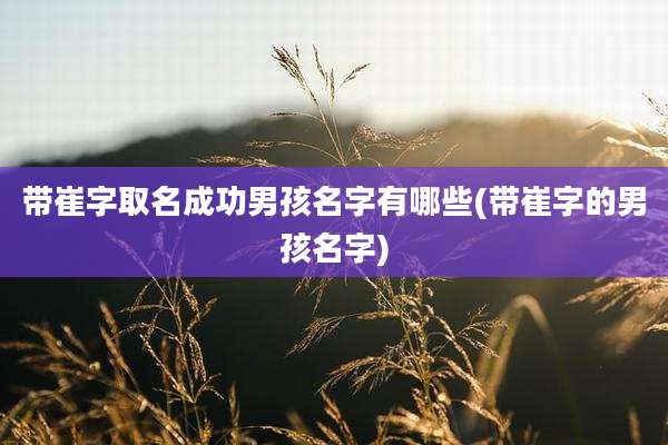 带崔字取名成功男孩名字有哪些(带崔字的男孩名字)