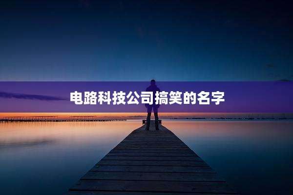 电路科技公司搞笑的名字