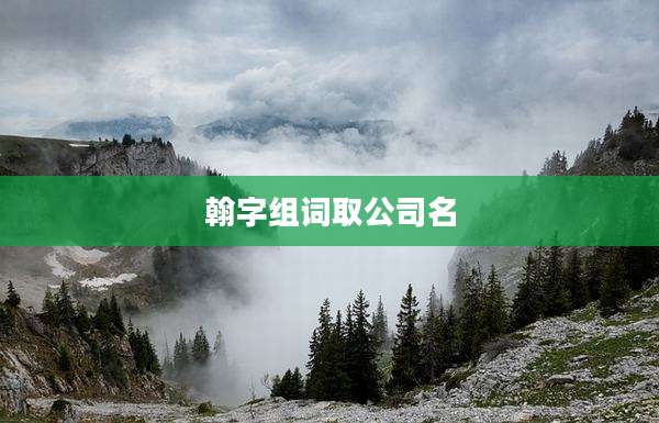 翰字组词取公司名