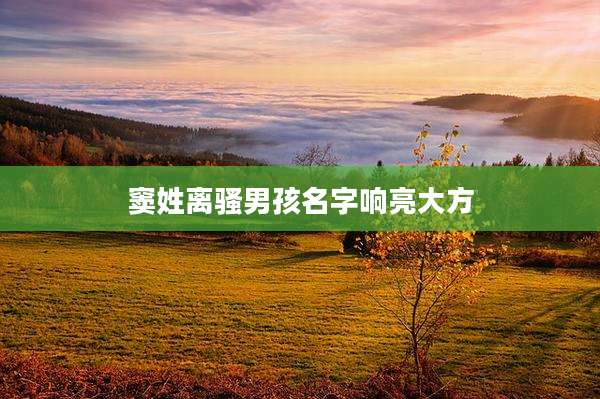 窦姓离骚男孩名字响亮大方