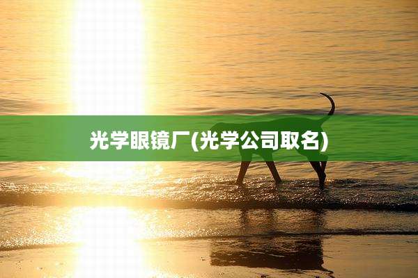 光学眼镜厂(光学公司取名)