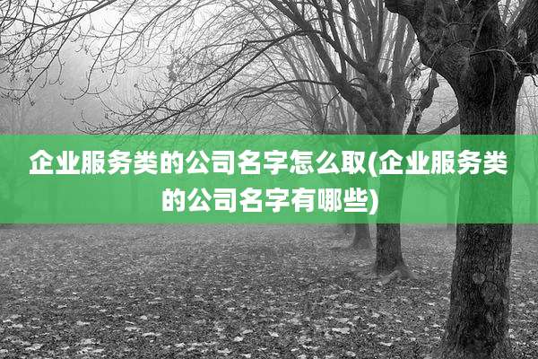 企业服务类的公司名字怎么取(企业服务类的公司名字有哪些)