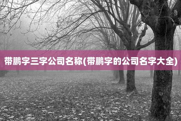 带鹏字三字公司名称(带鹏字的公司名字大全)
