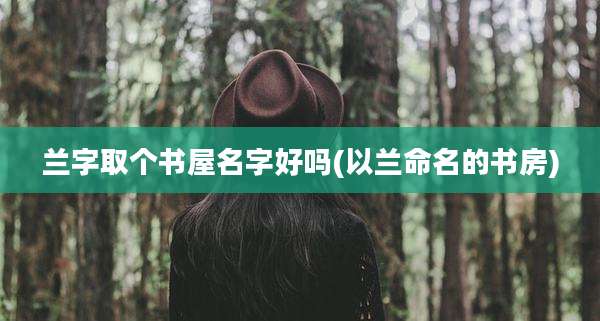 兰字取个书屋名字好吗(以兰命名的书房)