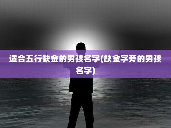 适合五行缺金的男孩名字(缺金字旁的男孩名字)