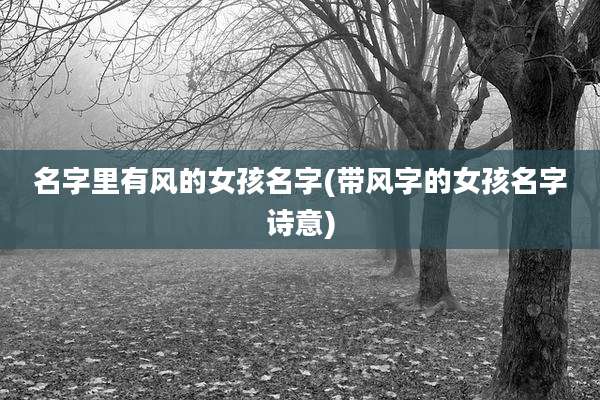 名字里有风的女孩名字(带风字的女孩名字诗意)