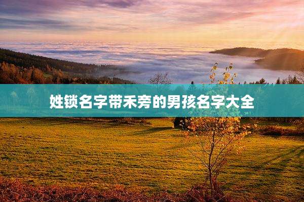 姓锁名字带禾旁的男孩名字大全