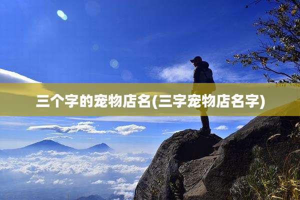 三个字的宠物店名(三字宠物店名字)