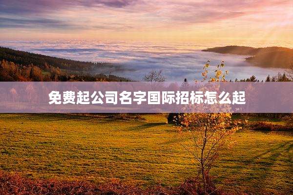 免费起公司名字国际招标怎么起